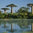 Kelionės į Madagaskarą