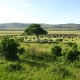 Masai Mara Rezervatas