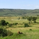 Masai Mara Rezervatas