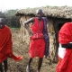 Masajų gentis