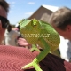Chameleonas