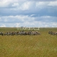 Serengečio Nacionalinis Parkas 