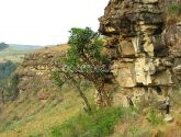 Drakensbergo Kalnai (Drakansberg)
