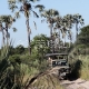 Safaris Okavango deltoje