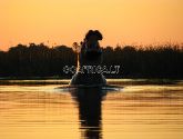 Okavango delta